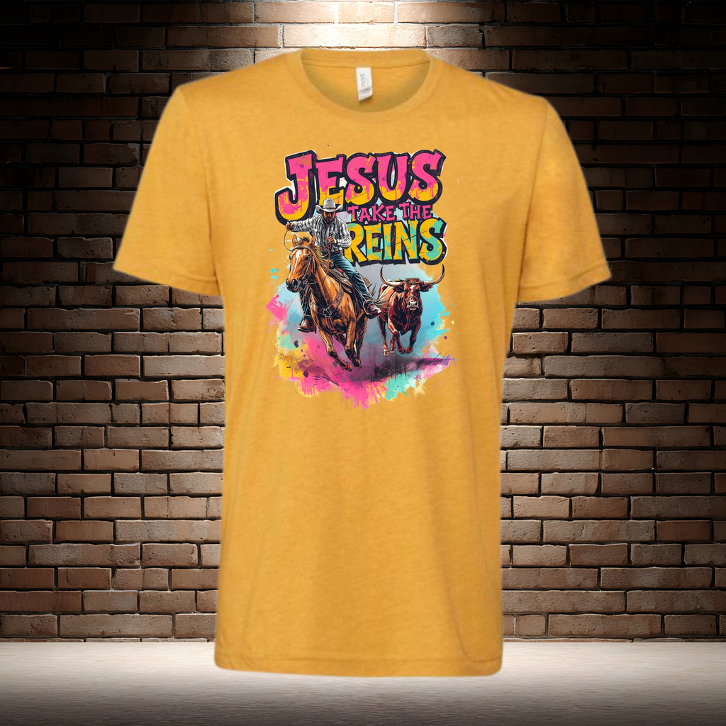 Jesus Take The Reins / Cowboy and Bull