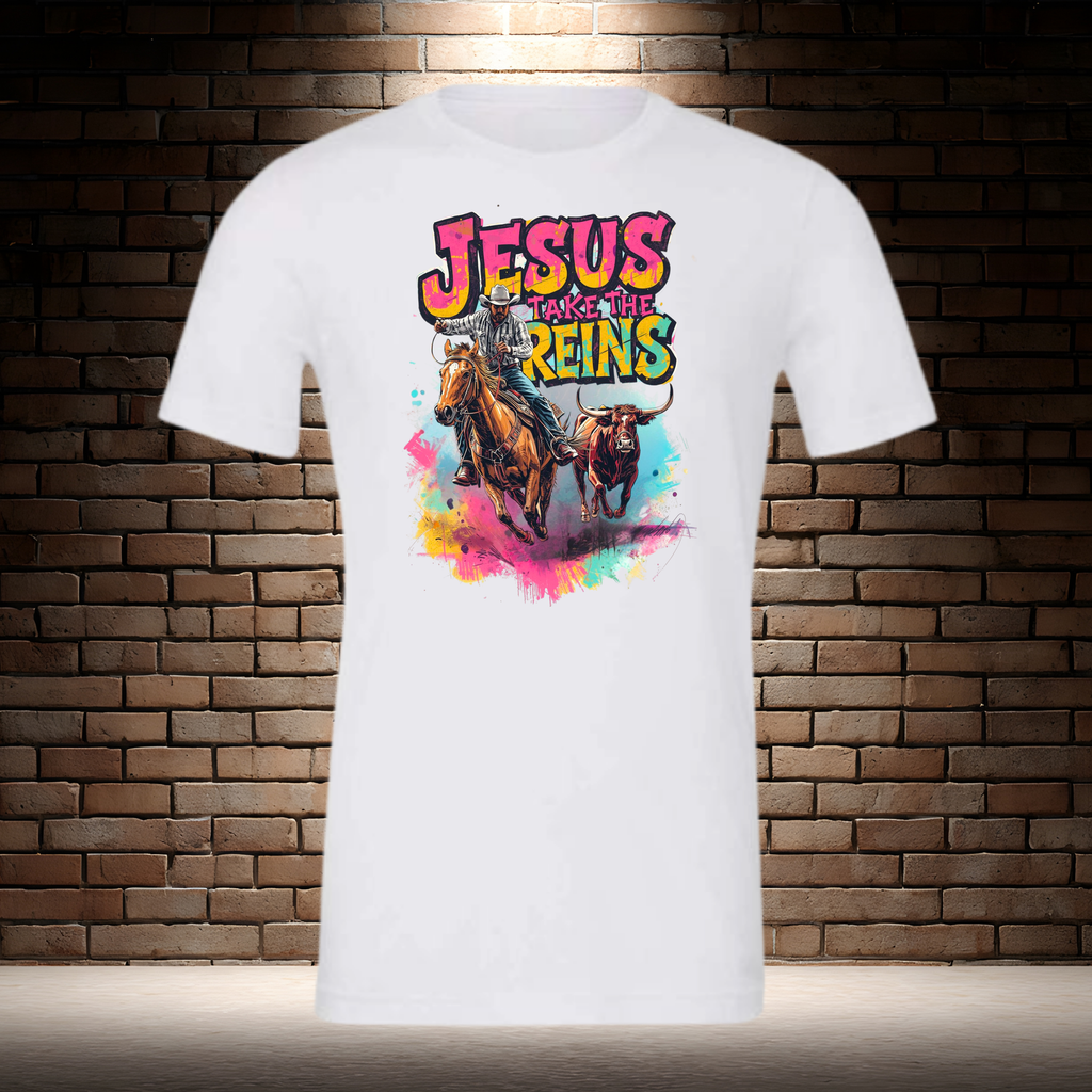 Jesus Take The Reins / Cowboy and Bull