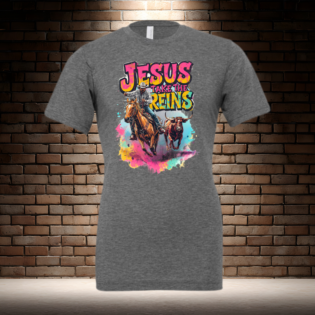 Jesus Take The Reins / Cowboy and Bull