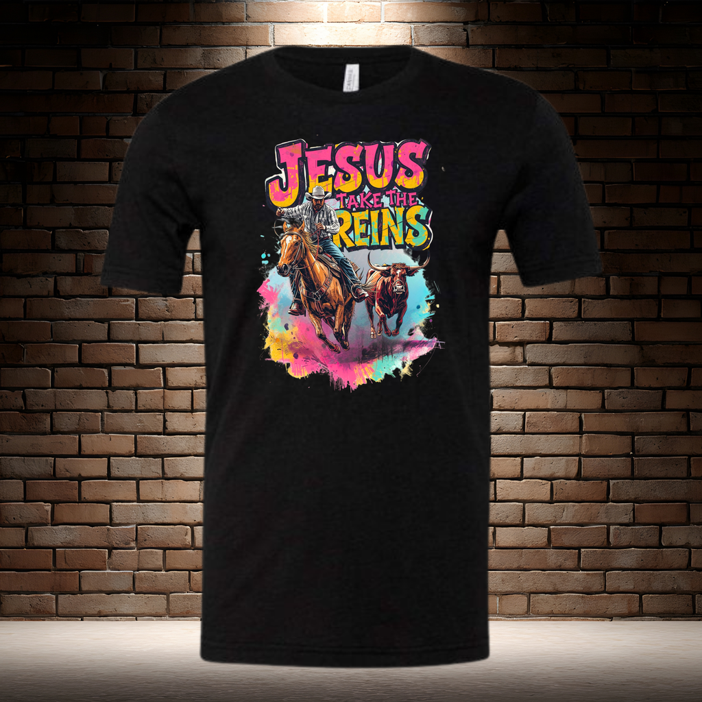 Jesus Take The Reins / Cowboy and Bull