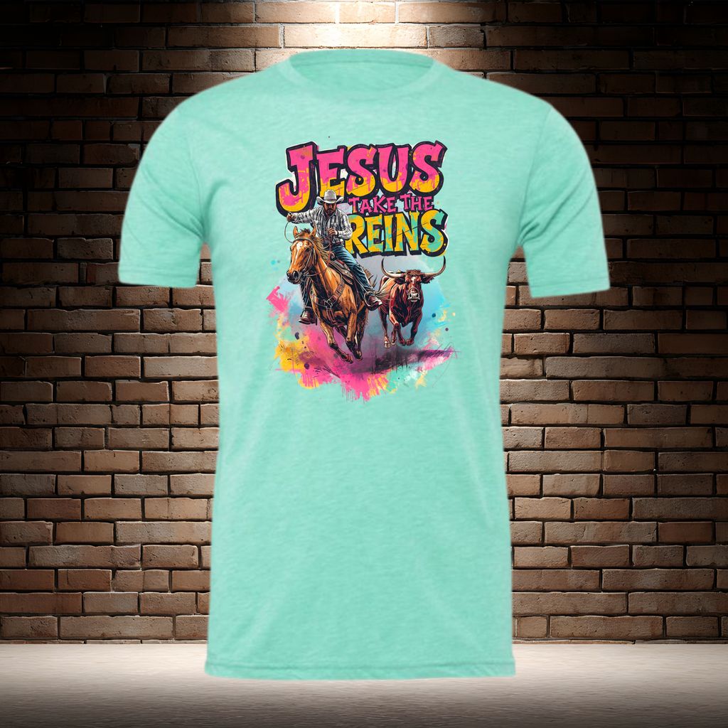 Jesus Take The Reins / Cowboy and Bull
