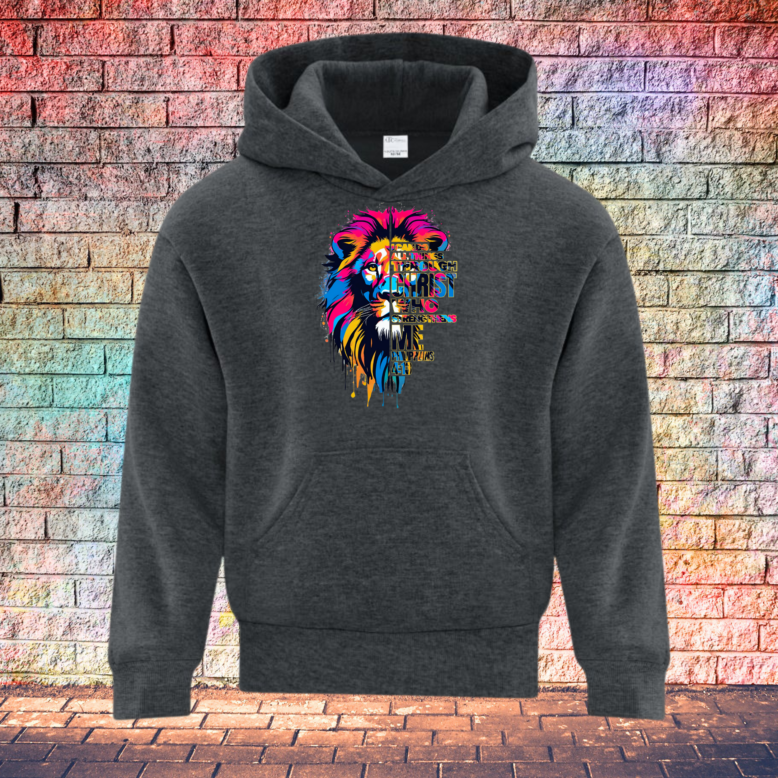 Lion and Bold Jesus - Youth Hoodie