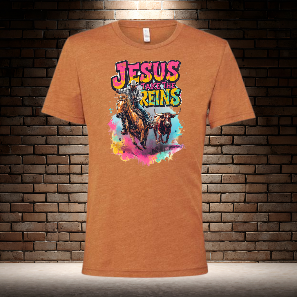 Jesus Take The Reins / Cowboy and Bull